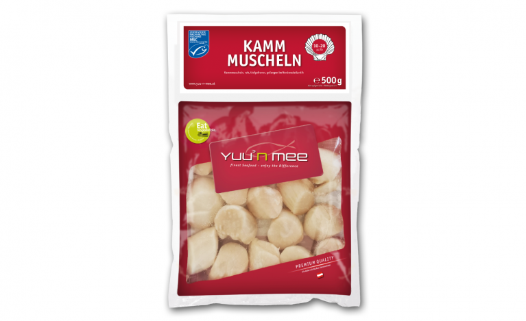 Kamm Muscheln